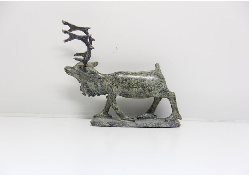 11259 Caribou by Pavinak Petaulassie