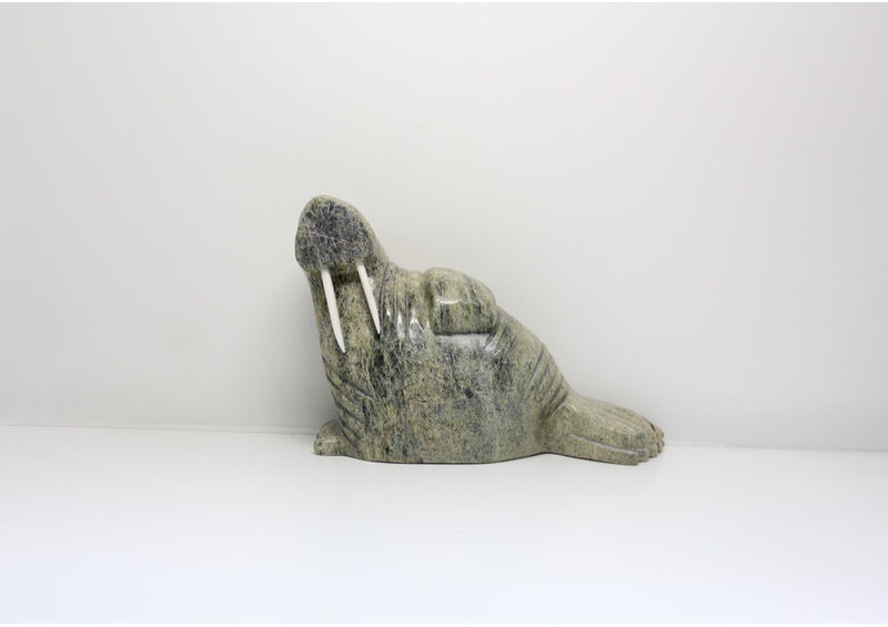 16625 Walrus by Juta Ipeelee