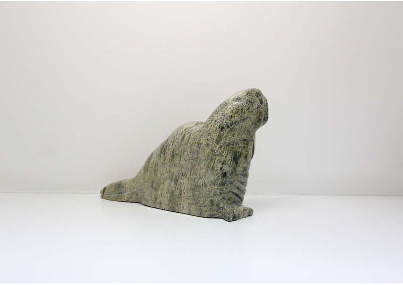 16625 Walrus by Juta Ipeelee