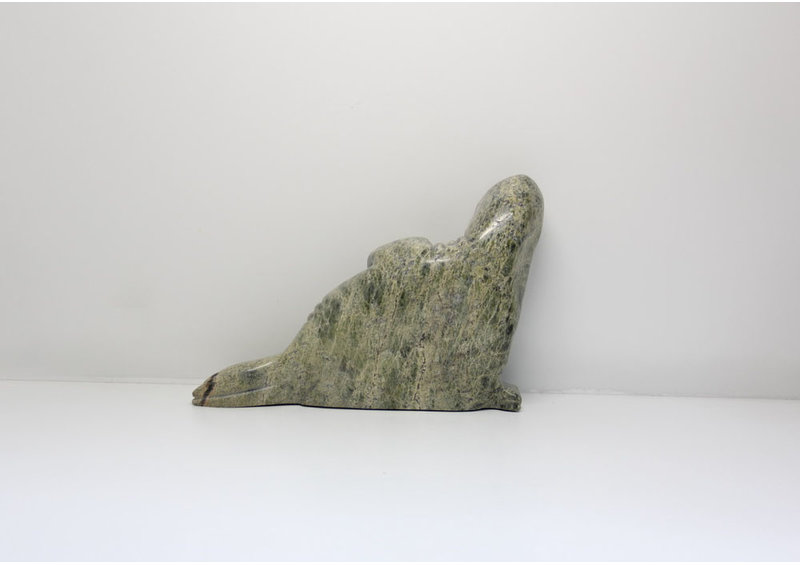 16625 Walrus by Juta Ipeelee