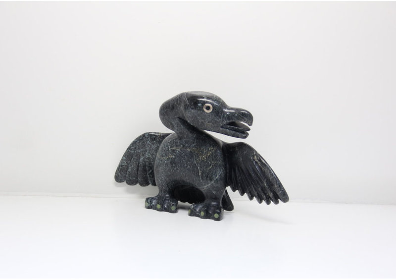 23889 Bird by Toonoo Sharky (34-23)