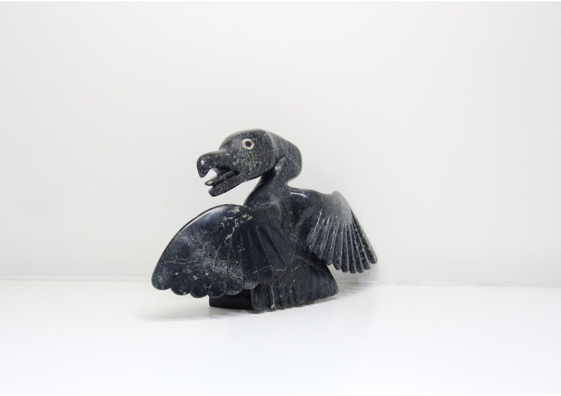 23889 Bird by Toonoo Sharky (34-23)