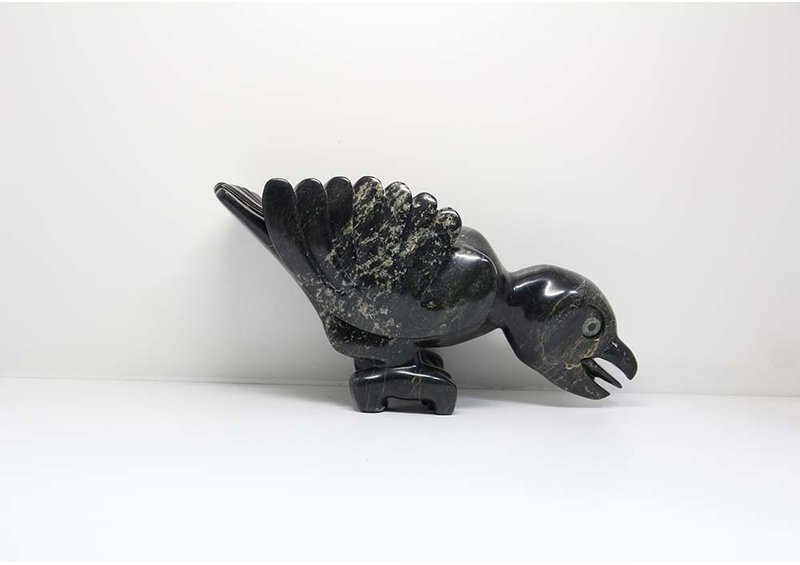 23879 Dancing bird by Toonoo Sharky