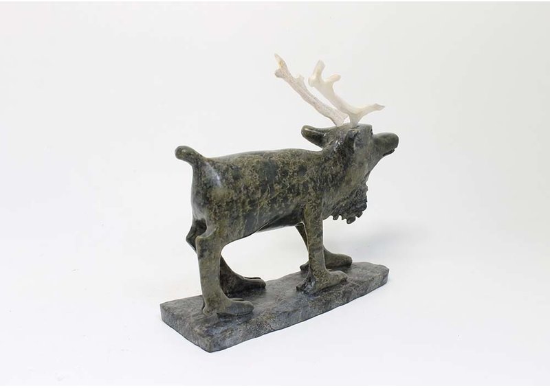 19727 Caribou by Pavinak Petaulassie