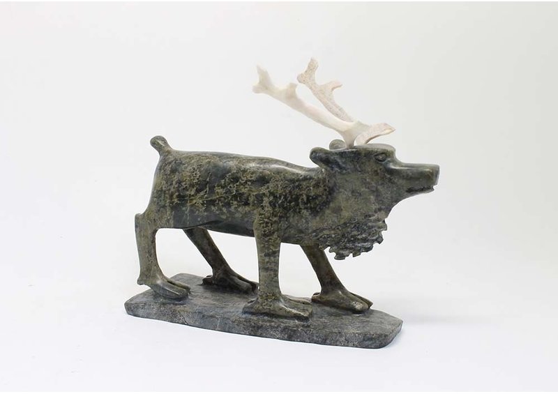 19727 Caribou by Pavinak Petaulassie