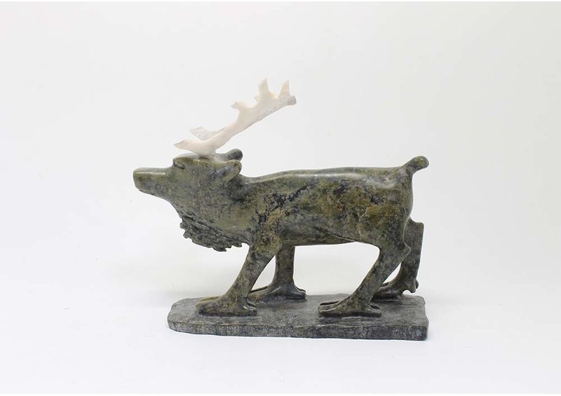 19727 Caribou by Pavinak Petaulassie