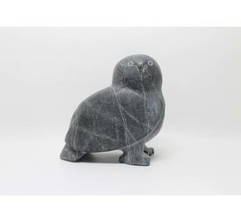 6433 Owl by Kupapik Ningeocheak