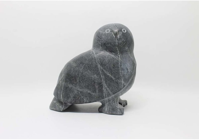 6433 Owl by Kupapik Ningeocheak