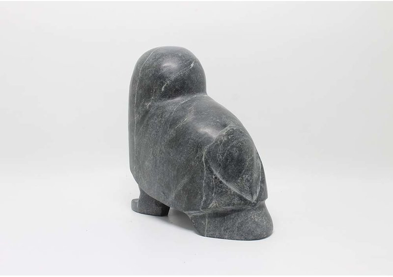 6433 Owl by Kupapik Ningeocheak