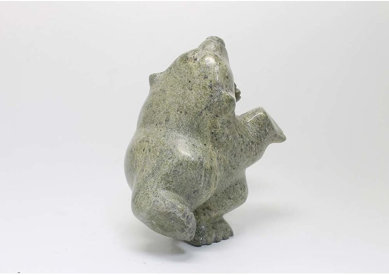 23507 Two way bear by Samonie Shaa