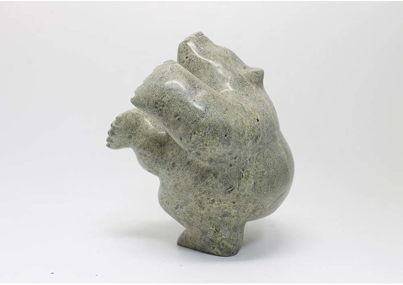 23507 Two way bear by Samonie Shaa