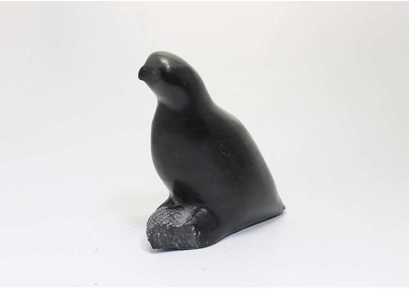 23395 Owl by Kaalia Michael