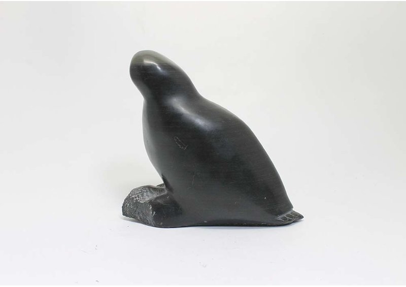 23395 Owl by Kaalia Michael