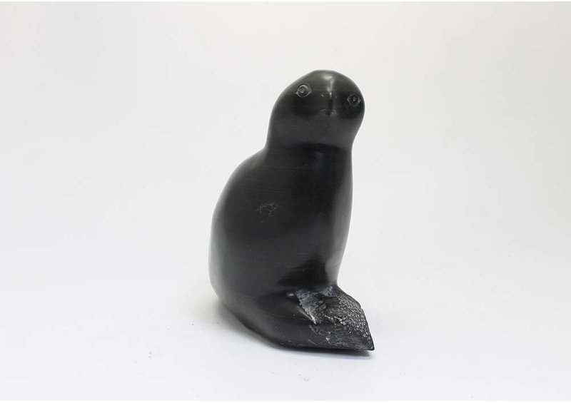 23395 Owl by Kaalia Michael