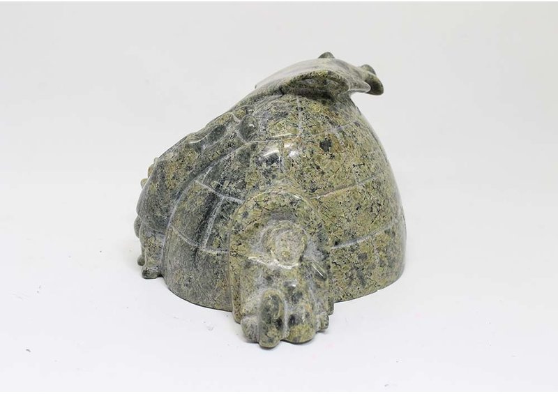 23443 Igloo scene by Napatchi Sharky