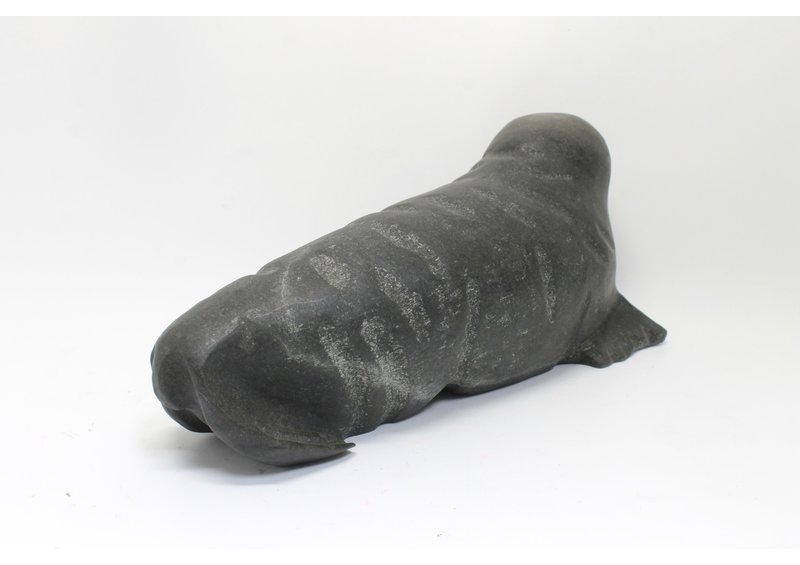 23345 Walrus artist unknown