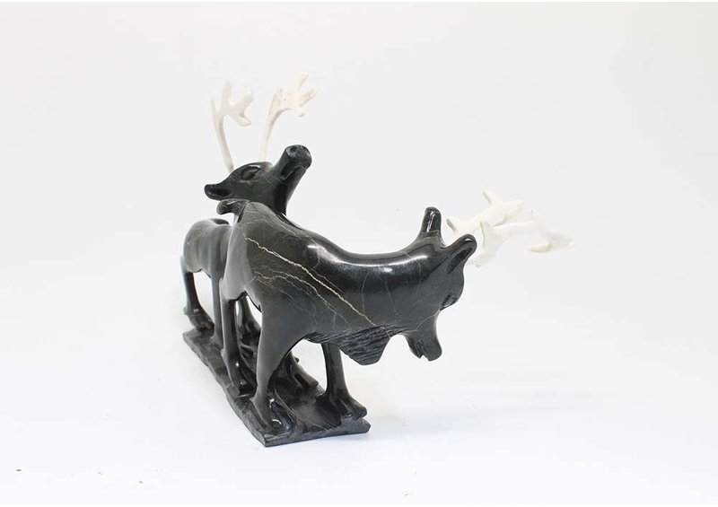 23541 Caribous by Pavinak Petaulassie