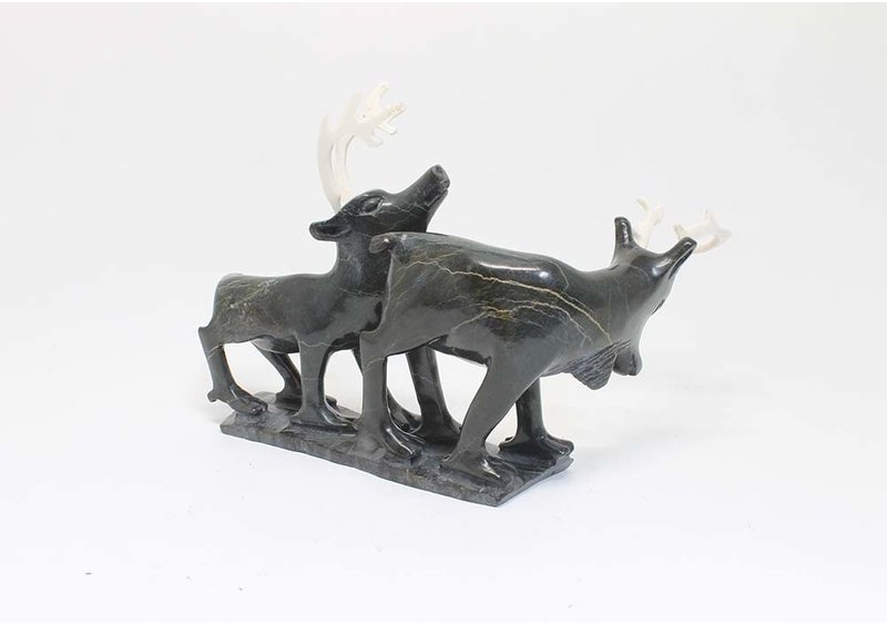 23541 Caribous by Pavinak Petaulassie