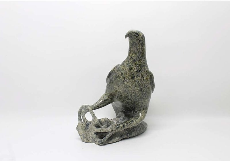 14764 Bird by Jacoposie Tiglik