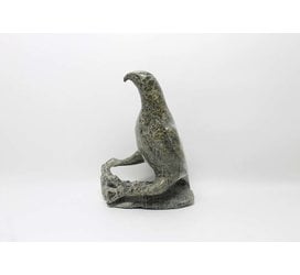 14764 Bird by Jacoposie Tiglik