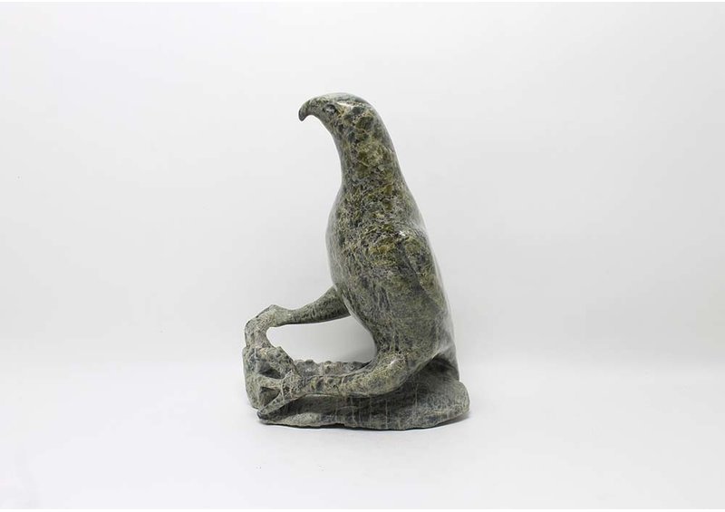 14764 Bird by Jacoposie Tiglik