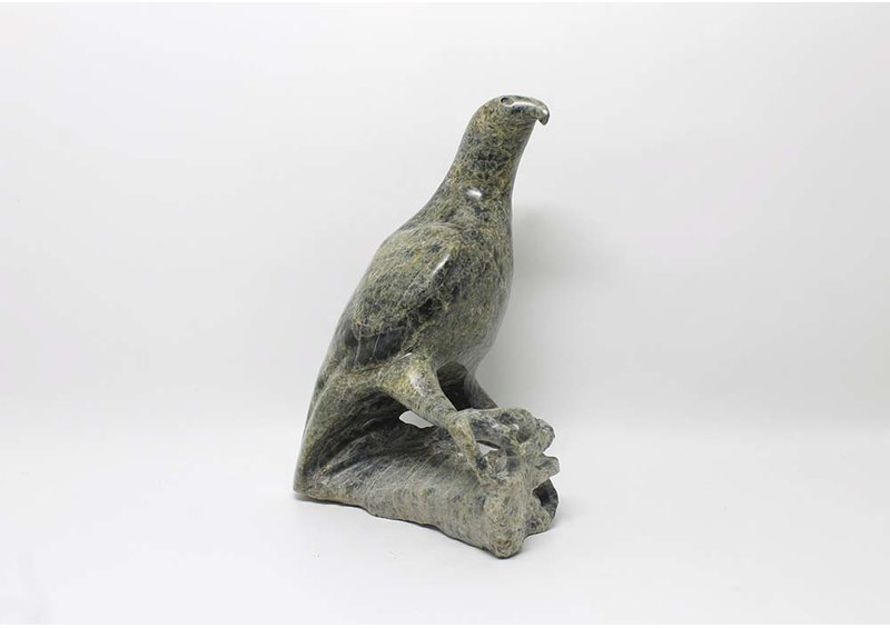 14764 Bird by Jacoposie Tiglik