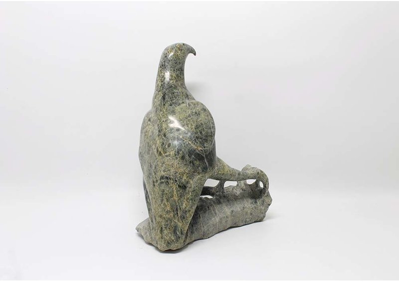 14764 Bird by Jacoposie Tiglik