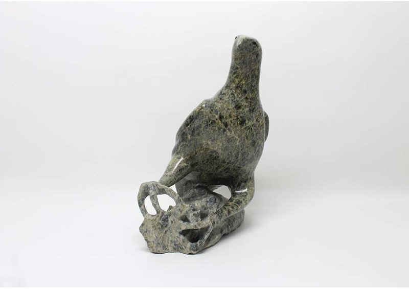 14764 Bird by Jacoposie Tiglik