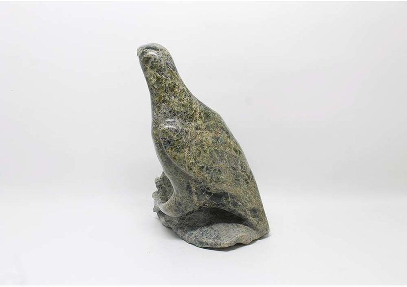 14764 Bird by Jacoposie Tiglik