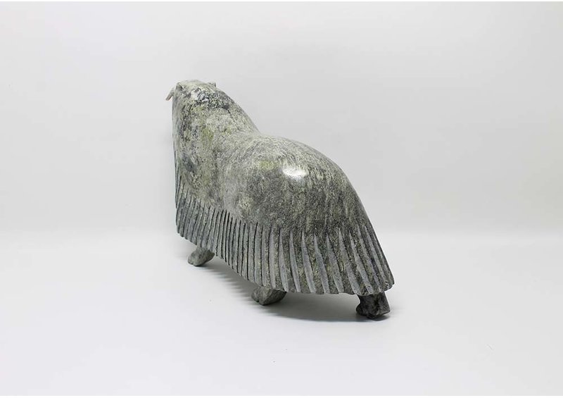 19504 Musk ox by Eegeesiak Shoo (12-14)