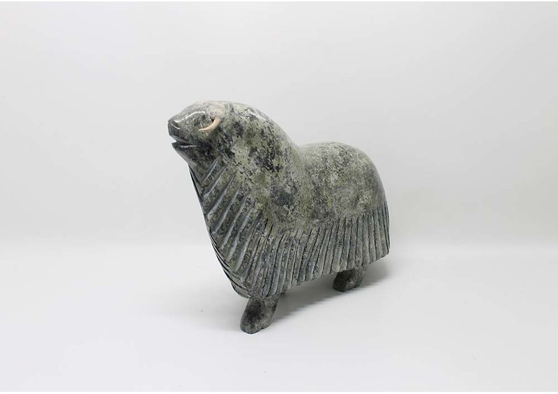 19504 Musk ox by Eegeesiak Shoo (12-14)