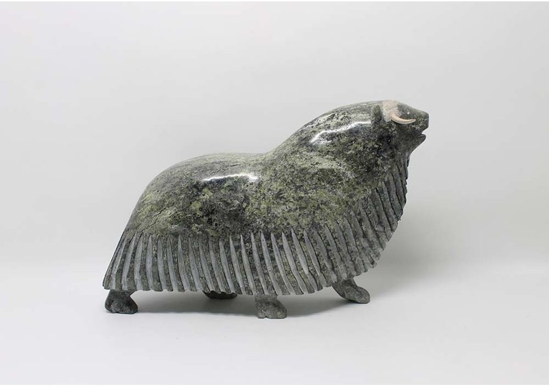 19504 Musk ox by Eegeesiak Shoo (12-14)