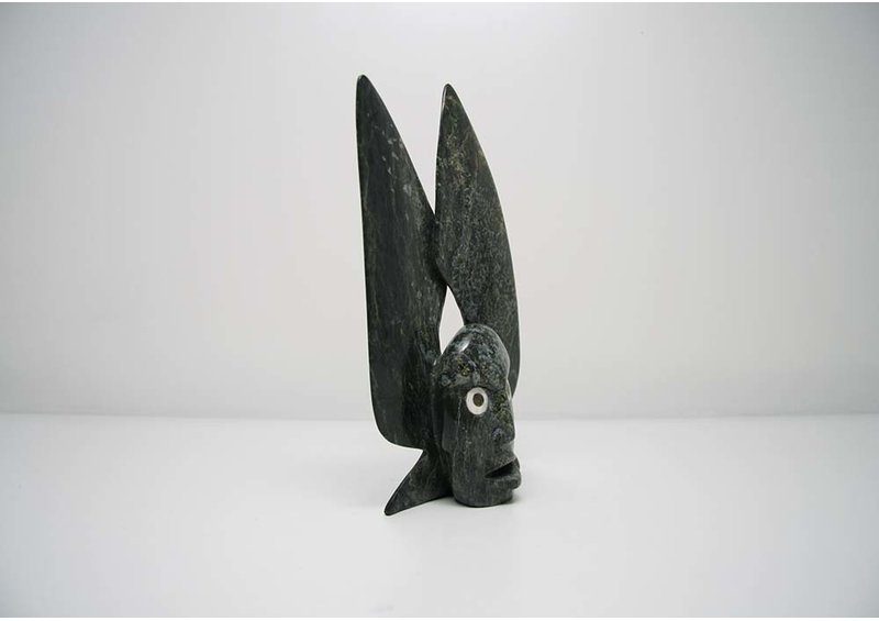 3825 Transformation by Toonoo Sharky