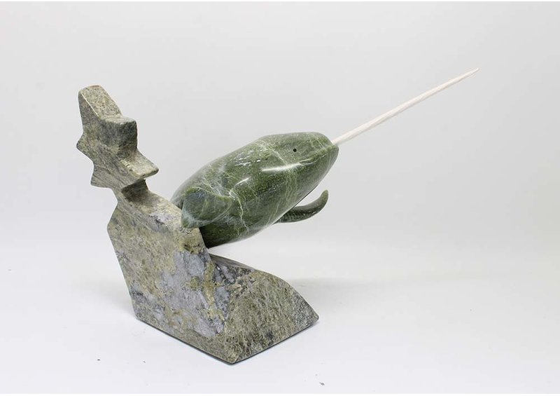 17707 Narwhal with star fish by Kulula Itulu