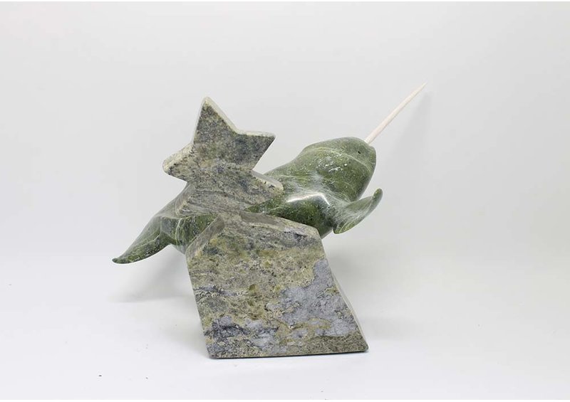 17707 Narwhal with star fish by Kulula Itulu