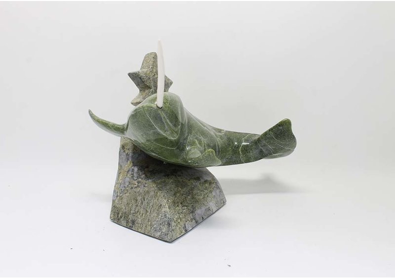 17707 Narwhal with star fish by Kulula Itulu