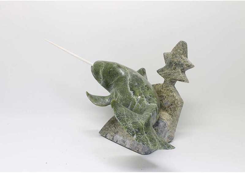 17707 Narwhal with star fish by Kulula Itulu