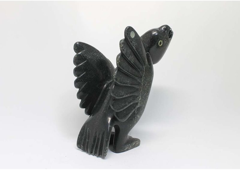 23392 Bird by Toonoo Sharky