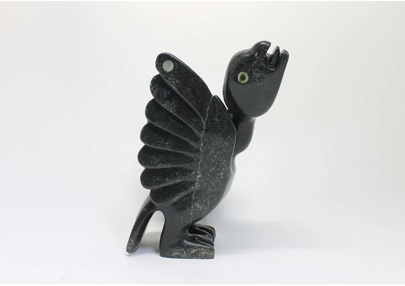 23392 Bird by Toonoo Sharky