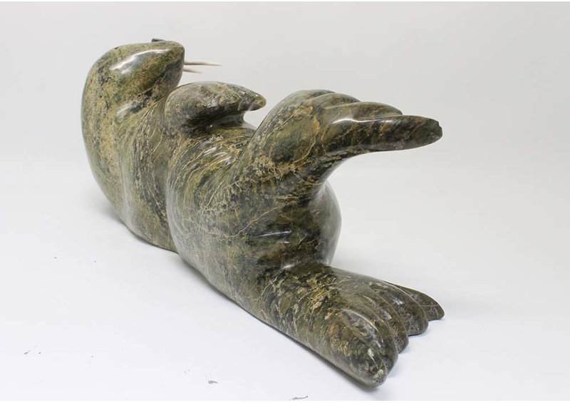 22915 Walrus by Simon Aoudla