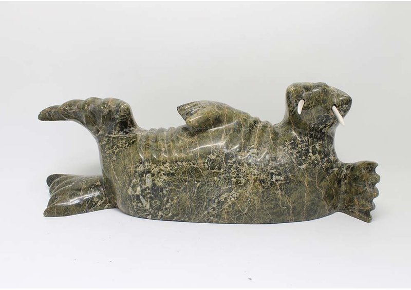 22915 Walrus by Simon Aoudla