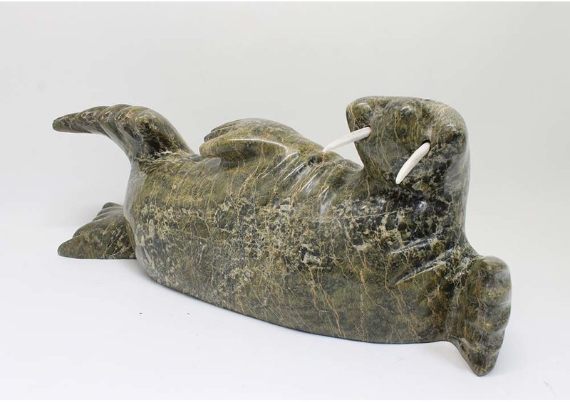 22915 Walrus by Simon Aoudla