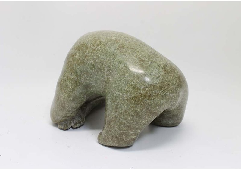 11309 Bear eatting seal by Georgie Pitsiulak