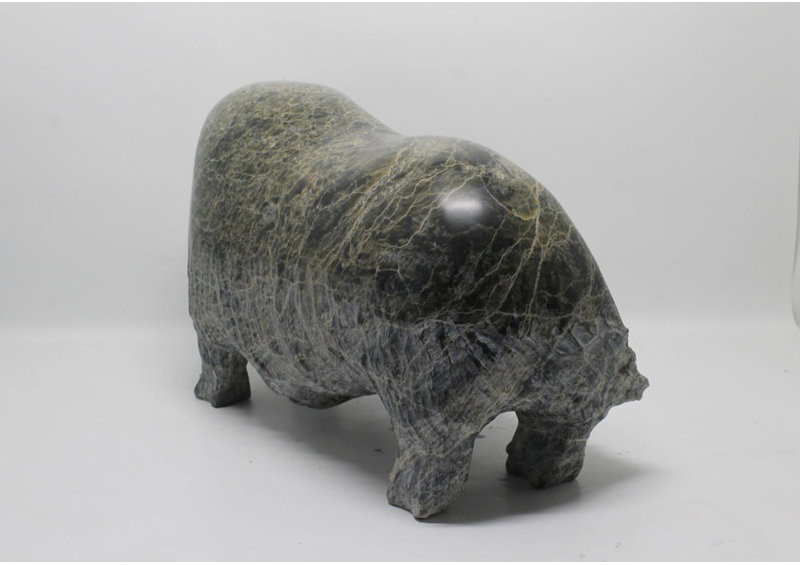 16541 Musk ox by Jomie Aipeelee