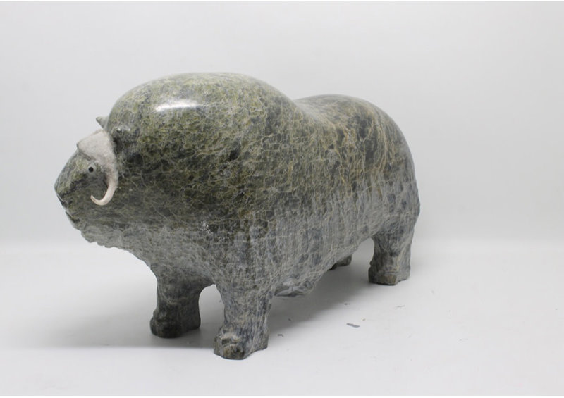 16541 Musk ox by Jomie Aipeelee