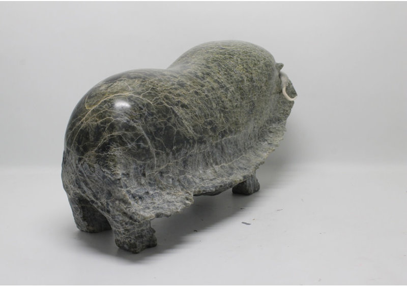 16541 Musk ox by Jomie Aipeelee