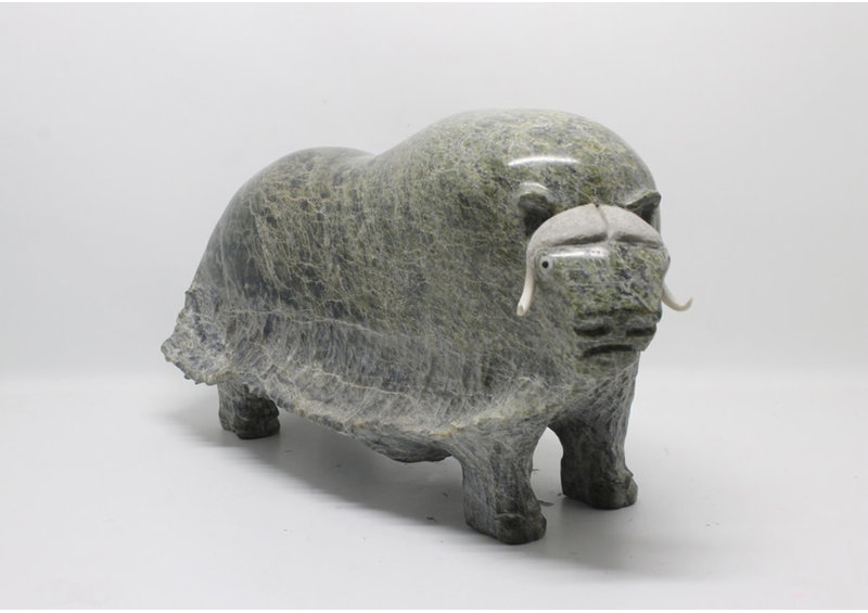 16541 Musk ox by Jomie Aipeelee