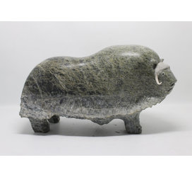 16541 Musk ox by Jomie Aipeelee