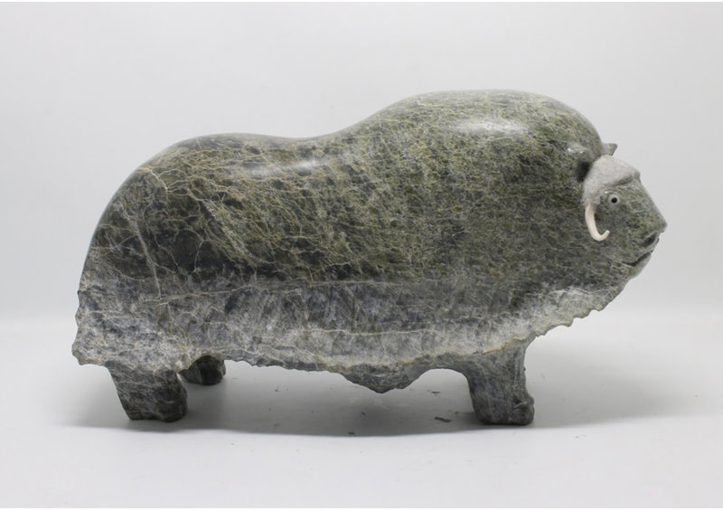 16541 Musk ox by Jomie Aipeelee