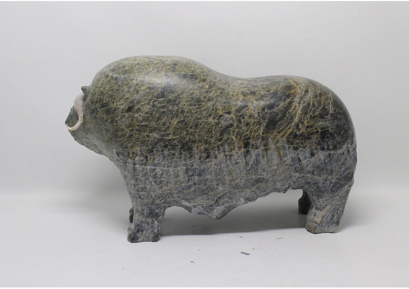 16541 Musk ox by Jomie Aipeelee